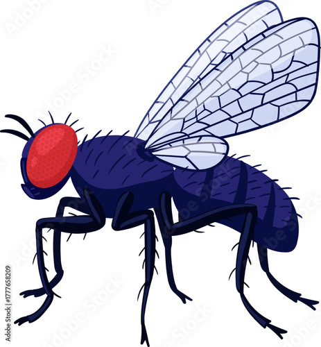House fly insect with red compound eyes