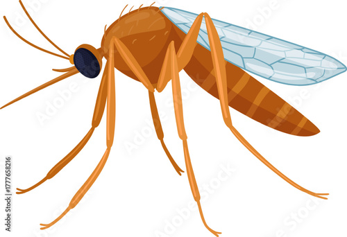 Mosquito insect flying pest transmitting disease cartoon illustration