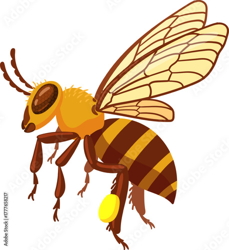 Honeybee insect flying vector illustration carrying pollen