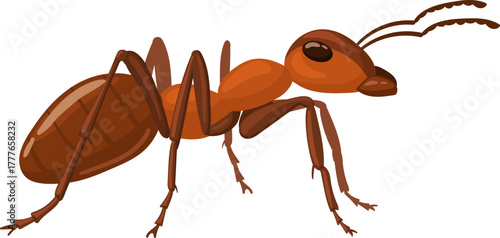 Brown ant creature walking isolated on white background