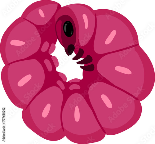 Pink fruit worm larva eating raspberry hole
