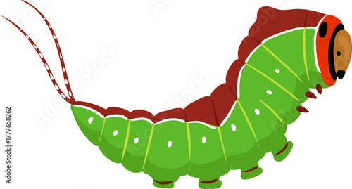 Green cartoon caterpillar larva insect bug illustration