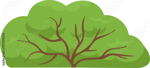 Green bush illustration with leaves and branches isolated
