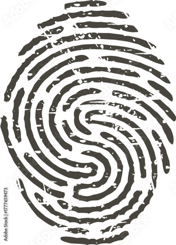 Fingerprint icon representing identity security and authentication