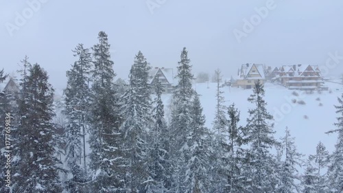 Aerial view capturing the serene winter landscape, showcasing snow-covered trees and distant chalets, with a gradual zoom revealing the tranquil beauty of a snowy scene