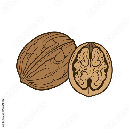 Walnut