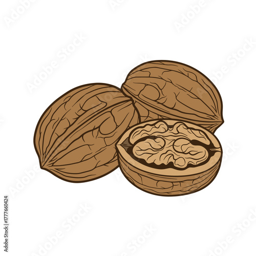 Walnut