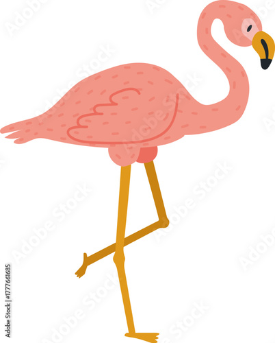 Pink flamingo bird standing on one leg illustration