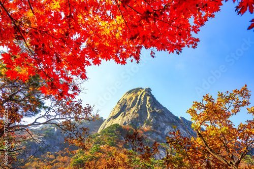 Autumn scenery and changing leaves at Bukhansan Mountain in Seoul, South Korea.
Hiking in a Korean national park: Bukhansan National Park, Seoul, South Korea.