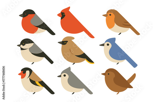 Colorful collection of birds perched in a playful arrangement during a sunny afternoon