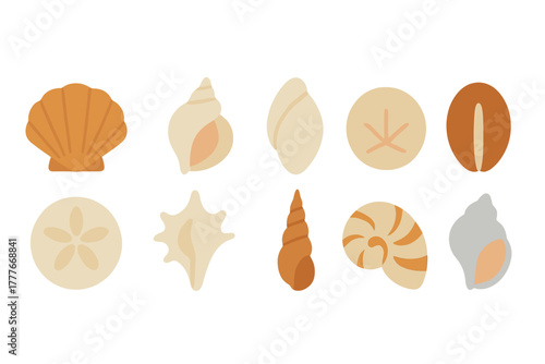Seashell collection featuring various shapes and colors on a neutral background
