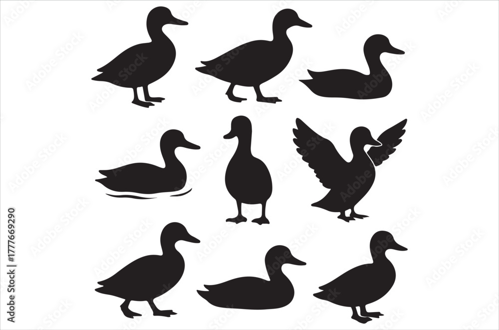 Fototapeta premium Silhouettes of ducks in various poses and positions a simple design