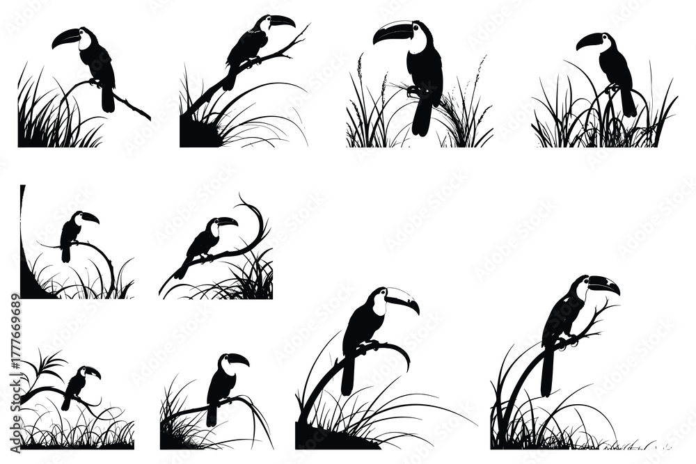 Naklejka premium Black toucans perched on branches with grass silhouettes