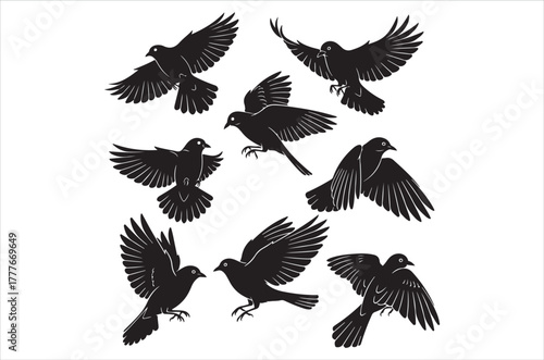 A flock of black birds in varying flight poses presented in silhouette