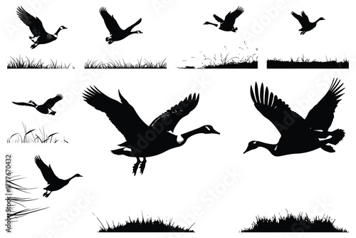 Black silhouettes of geese flying over grass goose