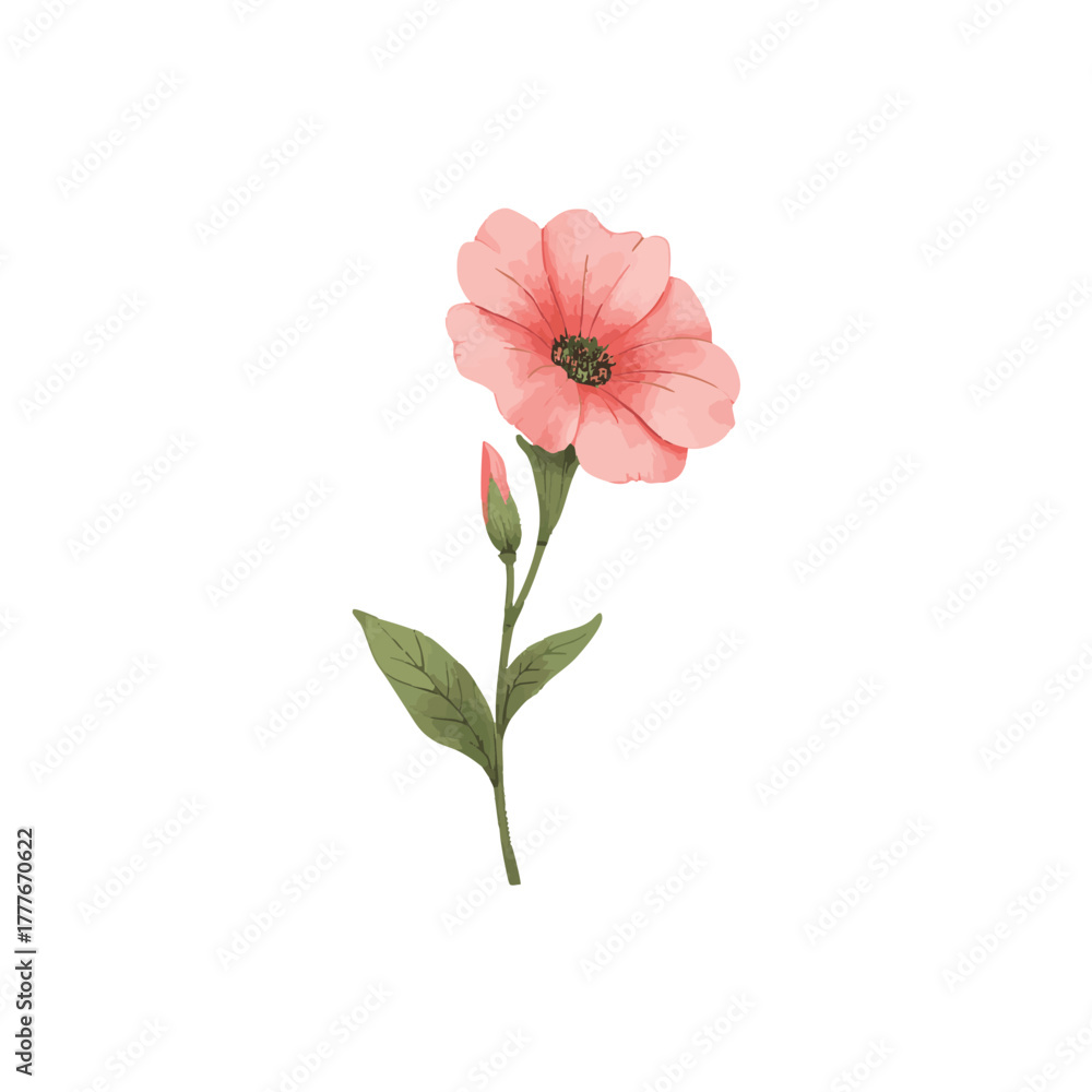 Naklejka premium Watercolor vector of bellflower, isolated on a white background. Bellflower illustration.