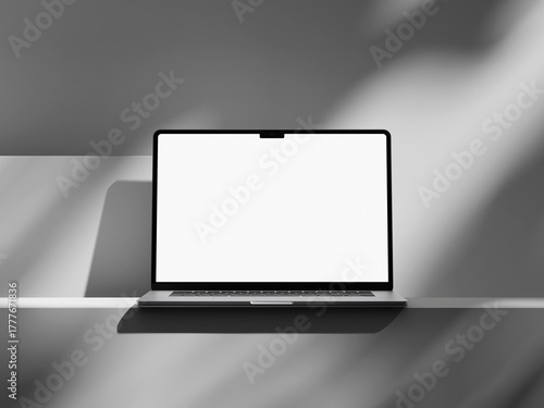 Laptop with blank screen and soft plant shadow on desk