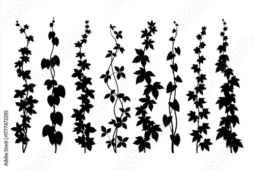 Set of Climbing Vine Silhouettes