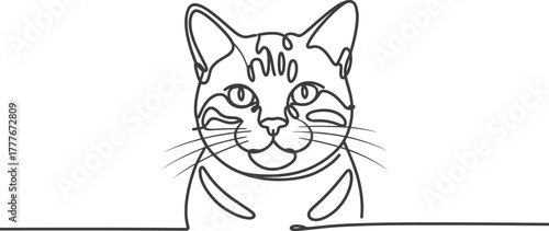 Cat drawing line art feline pet animal domestic kitten minimalist design simple