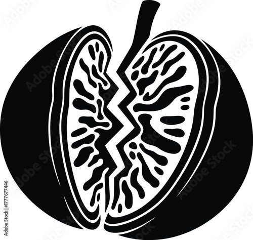 Abstract black and white illustration of broken open fruit with seeds inside design element
