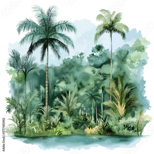 Amazon rainforest. Amazon rainforest hand drawn watercolor illustration