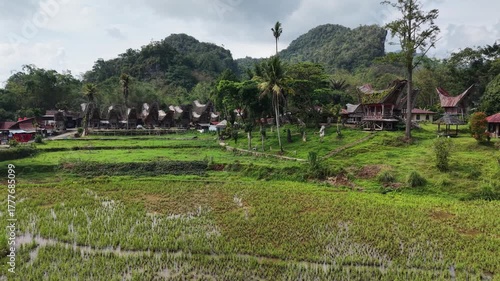 Aerial view of the traditional Tongkonan houses in Ke’te Kesu village, Tana Toraja, Indonesia, surrounded by lush green rice fields.	
