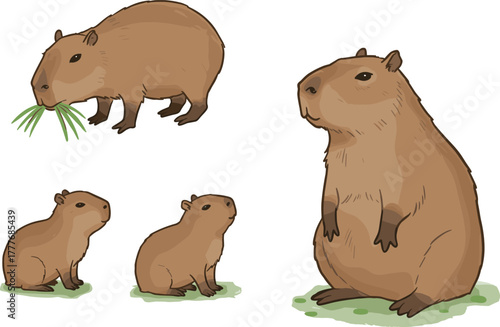 Capybara cartoon vector, cute animal illustration, sitting pose, eating grass, wildlife rodent art, nature character design, relaxed posture drawing