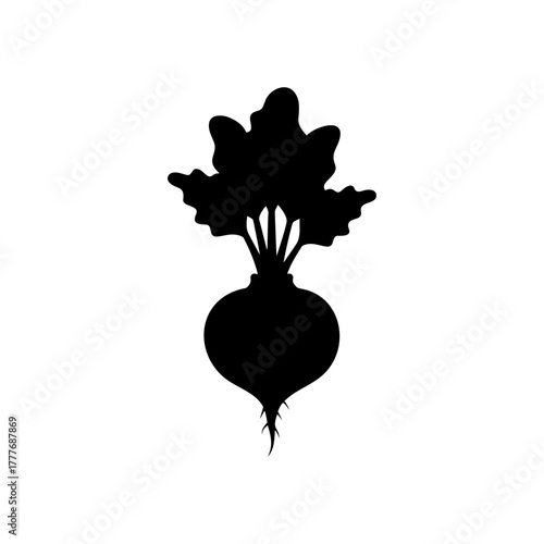 Beet root silhouette vector flat illustration design.