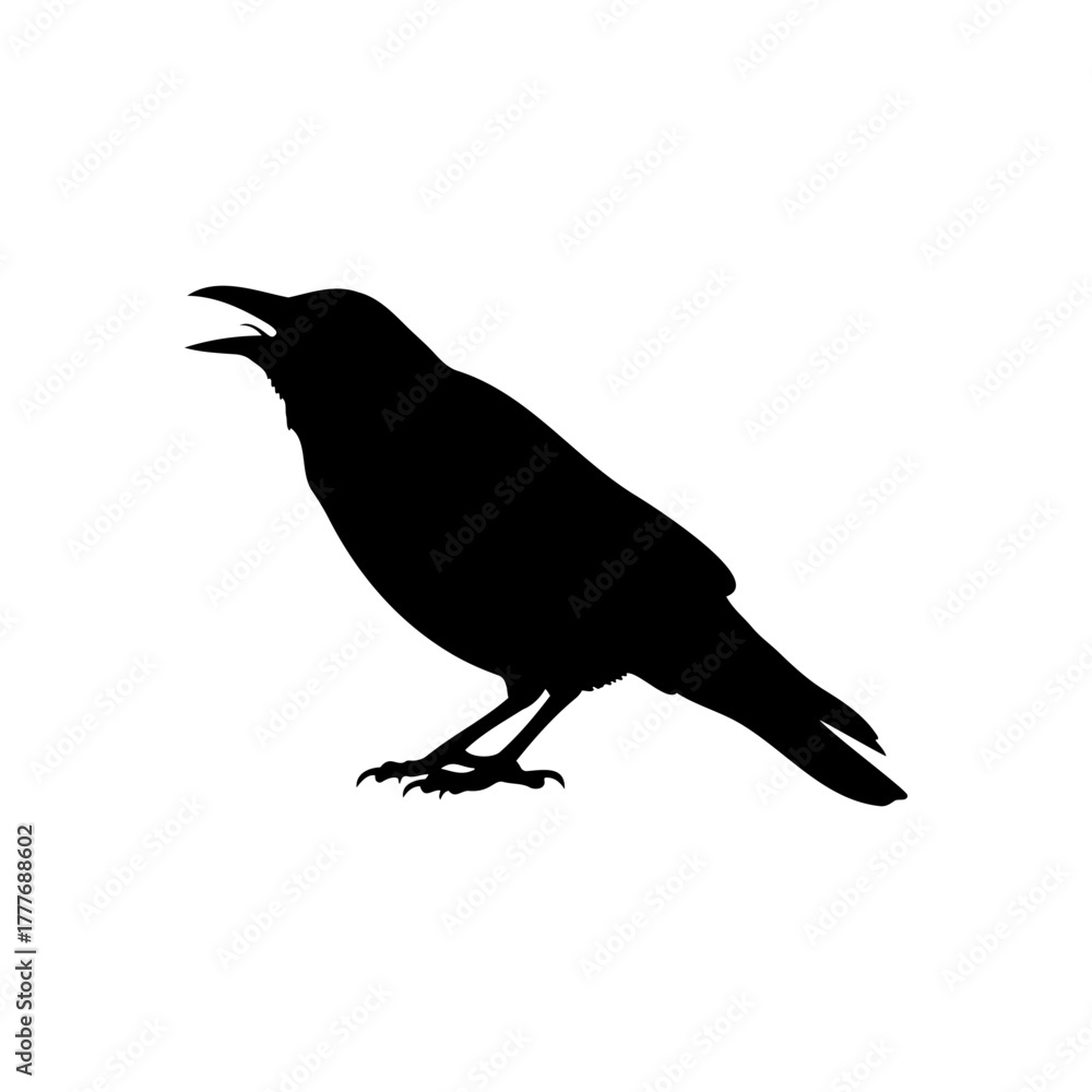 Obraz premium Rook bird silhouette vector flat illustration design.