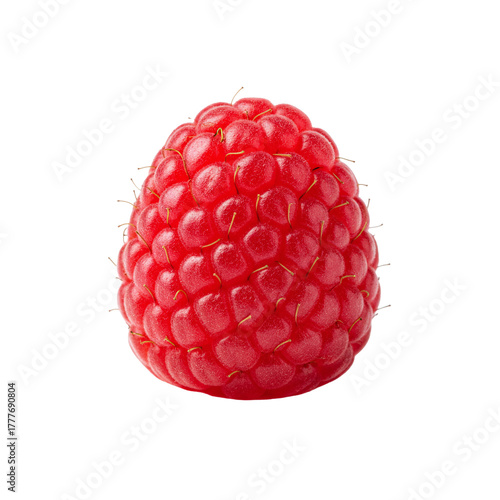 close-up of a single, plump fresh red raspberry