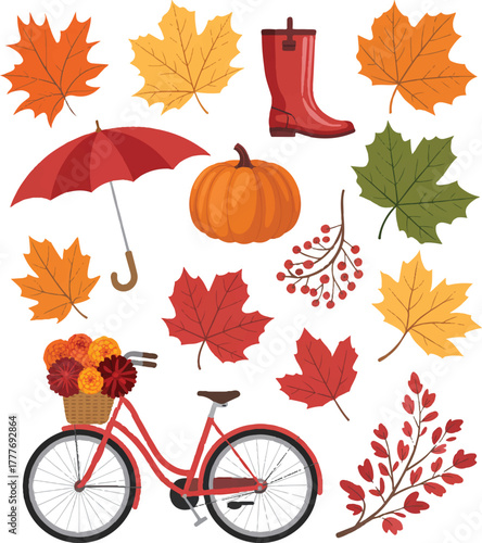 set of autumn leaves