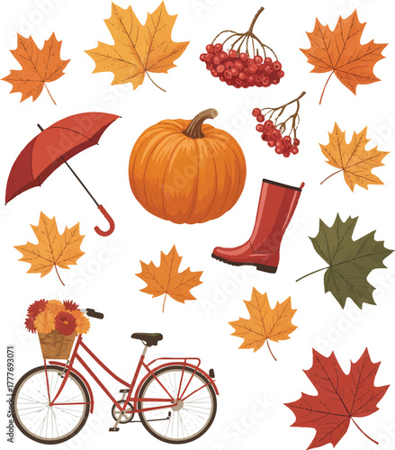 autumn leaves collection