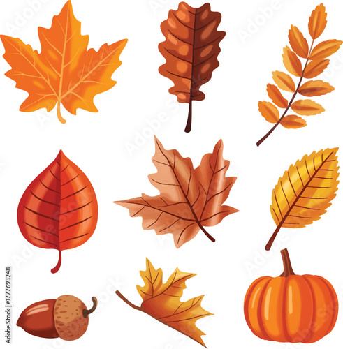 autumn leaves vector illustration