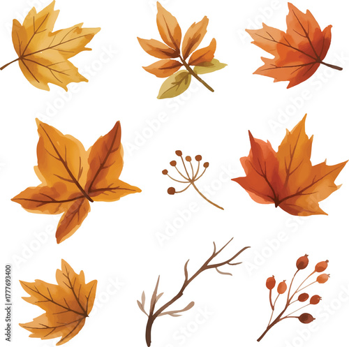autumn leaves background