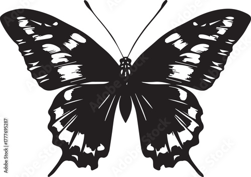 butterfly vector illustration on white background eps