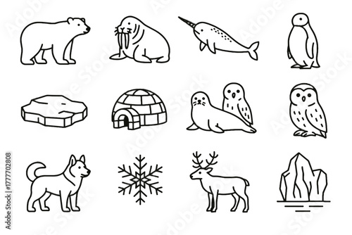 Icon dog vector conservation snowflake icons arctic polar floe snowy husky narwhal