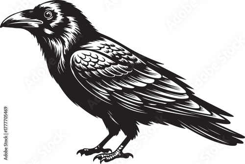 Monochrome Vector Raven Illustration Gothic Bird Symbol Clip Art Detailed Artwork