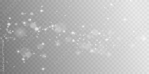 White png dust light. Bokeh light lights effect background. Christmas background of shining dust Christmas glowing light bokeh confetti and spark overlay texture for your design.	