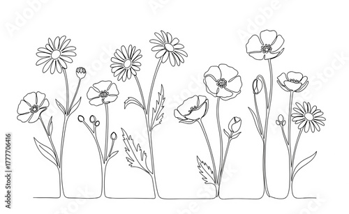 Continuous line art illustration of a wild flower border featuring daisies, poppies, and other meadow flowers.