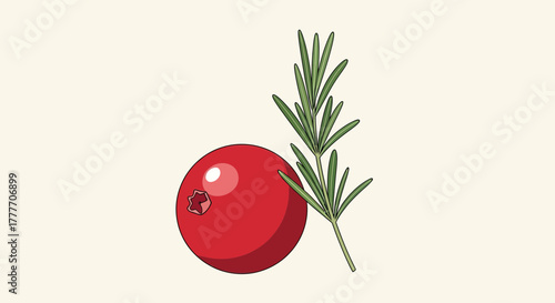 Illustration Of A Fresh Cranberry With Rosemary Branch And Simple Background