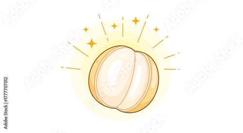 Illustration Of A Fresh Longan Fruit with Gleaming Effect on a White Background