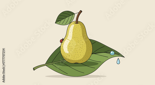 Illustration Of A Fresh Pear With A Ladybug Resting On A Green Leaf