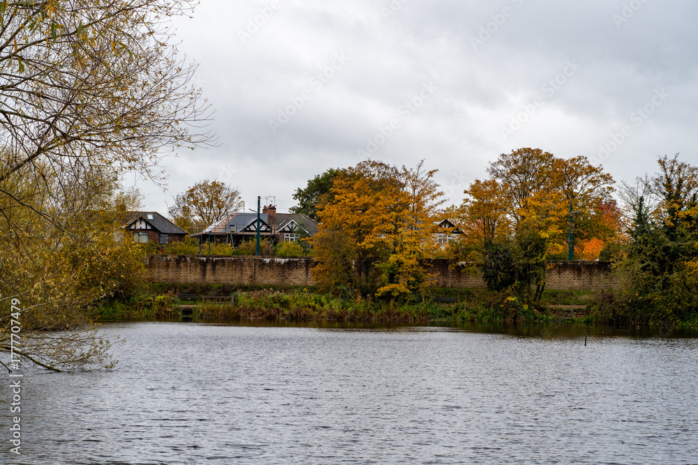 Obraz premium A beautiful morning walk along the Iremongers pond in Nottingham, UK with the trees in autumn color.