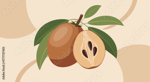 Illustrated Illustration Of A Sapodilla Fruit With Leaves And Background Design, Healthy Food