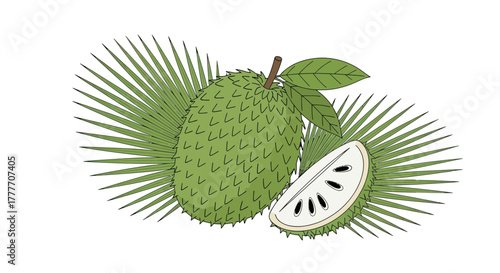Illustration Of A Fresh Soursop Fruit With Green Leaves, Detailed Anatomy