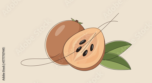 Illustrated Sapodilla Fruit With A Slice And Leaves On A Neutral Background