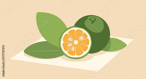 Illustration Of A Freshly Cut Citrus Fruit With Leaves and An Adjacent Uncut Citrus