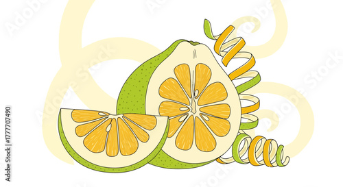 Illustration Of A Freshly Cut Citrus Fruit With Zest Twirls And Abstract Design
