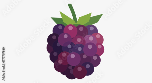 Illustration Of A Freshly Digitized Blackberry Delightful And Vibrant