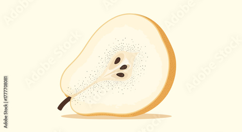 Illustration Of A Freshly Sliced Pear Showing Seeds and Textured Surface Detailing